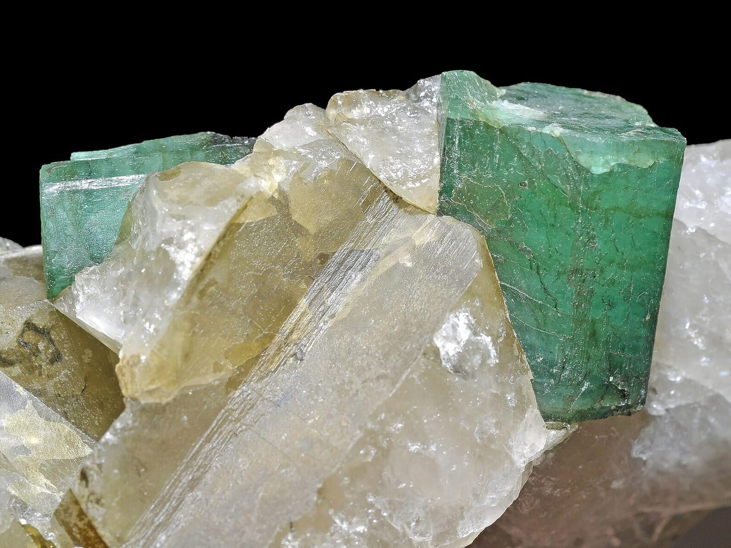 Natural emerald crystal or mineral specimen in close catalogue view.