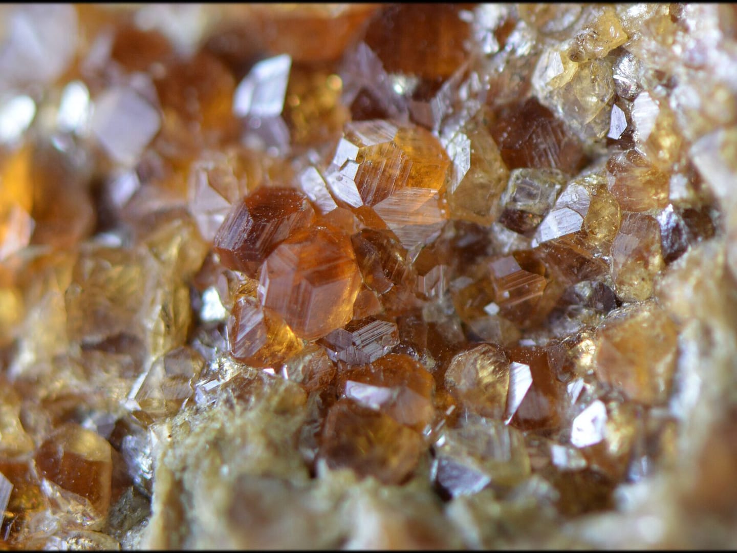 Natural hessonite crystal or mineral specimen in close catalogue view.