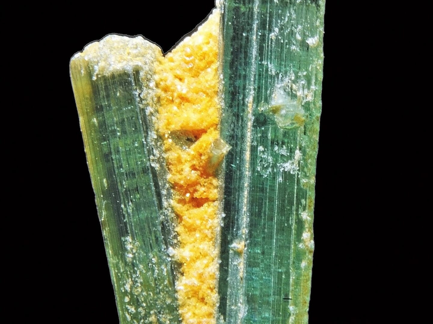 Natural tourmaline crystal or mineral specimen in close catalogue view.